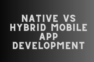 native vs hybrid